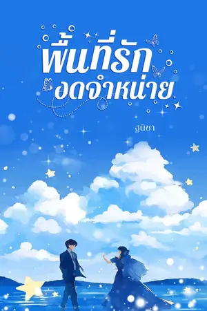 ปกนิยาย พื้นที่รักงดจำหน่าย