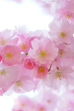 ปกนิยาย ขอสักครั่งให้ใจนี้ได้มีรัก