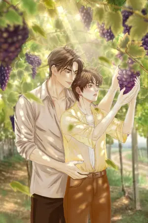 ปกนิยาย อาทิตย์พันดาว