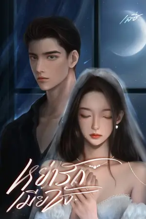 ปกนิยาย หย่ารักเมียชัง | จบแล้วมีอีบุ๊ก
