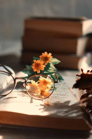 ปกนิยาย [ShortFic Wind Breaker] FRIEND Relationship [Hiiragi & OC]