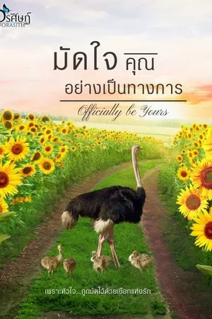 ปกนิยาย มัดใจคุณ...อย่างเป็นทางการ : Officially be Yours