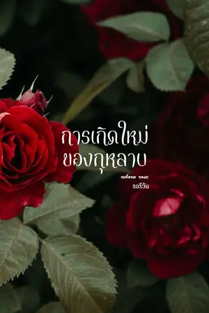 ปกนิยาย การเกิดใหม่ของกุหลาบ - อ่านฟรี มี E-book