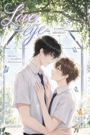 ปกนิยาย Love in the Eye / แววฤทัยเพียงนัยนา