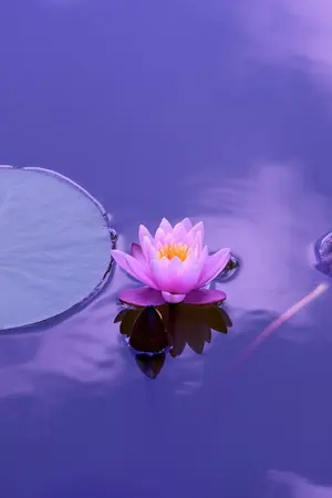 ปกนิยาย สักวาราตรีนี้ มีแต่เธอ (rewrite)