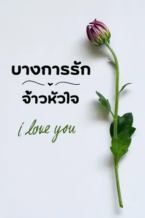 ปกนิยาย บงการรักจ้าวหัวใจ