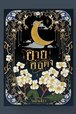 ปกนิยาย อายอัสดง