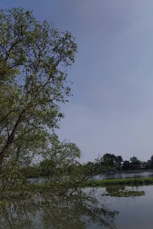 ปกนิยาย วนอยู่ในความทรงจำ