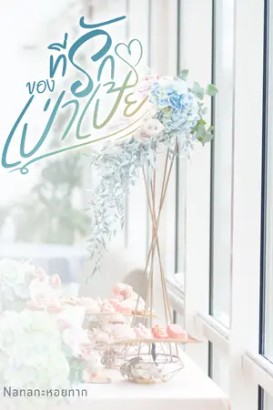 ปกนิยาย ที่รักของเป่าเป้ย