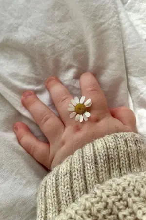 ปกนิยาย ตราบดาวประดับฟ้า