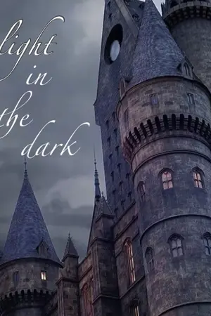 ปกนิยาย Light in the dark (ฆาตกรในความความมืด)