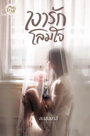 ปกนิยาย เงารักโลมใจ