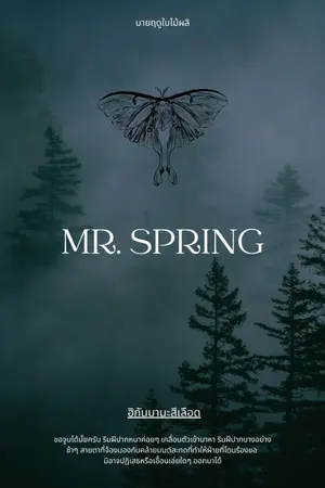 ปกนิยาย นายฤดูใบไม้ผลิ