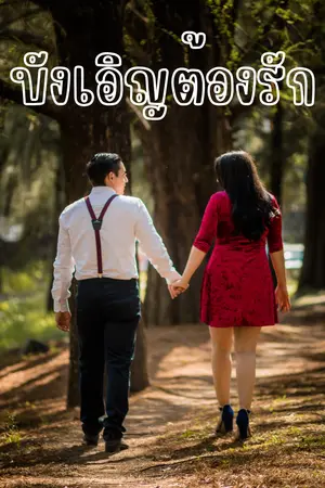 ปกนิยาย บังเอิญต้องรัก