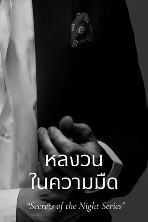 ปกนิยาย หลงวนในความมืด (มี E-book)