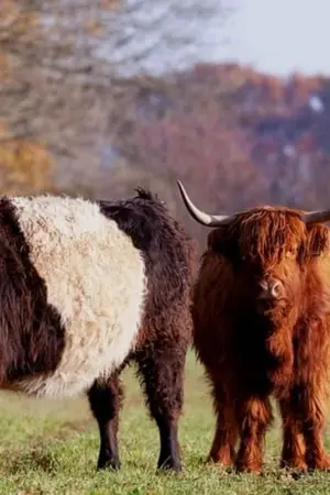 ปกนิยาย aaawewe2