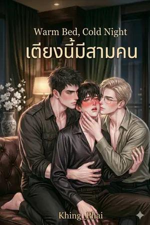 ปกนิยาย Warm Bed, Cold Night — เตียงนี้มีสามคน