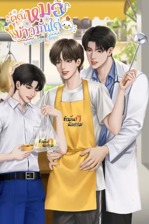 ปกนิยาย คุณหมอข้าวมันไก่