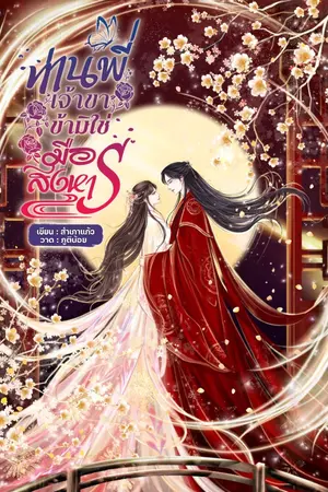 ปกนิยาย ท่านพี่เจ้าขา ข้ามิใช่มือสังหาร!