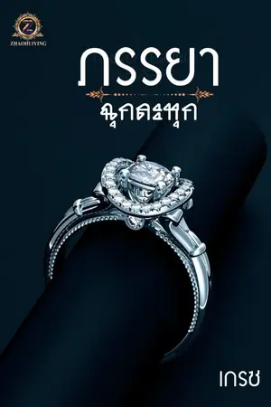 ปกนิยาย ภรรยาฉุกละหุก
