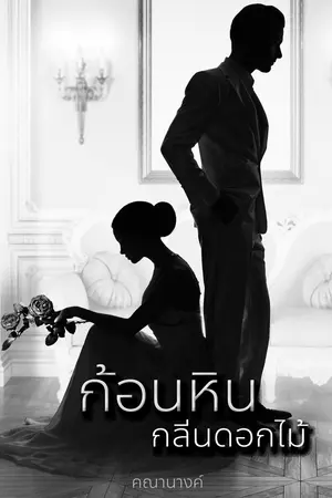 ปกนิยาย