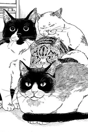 ปกนิยาย [OS/SF] Haikyuu!! x oc <เรื่องวุ่นๆของสมาคมคนรักแมว>