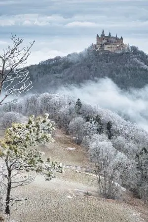 ปกนิยาย บทนางร้ายที่ต้องเอาชีวิตรอด!