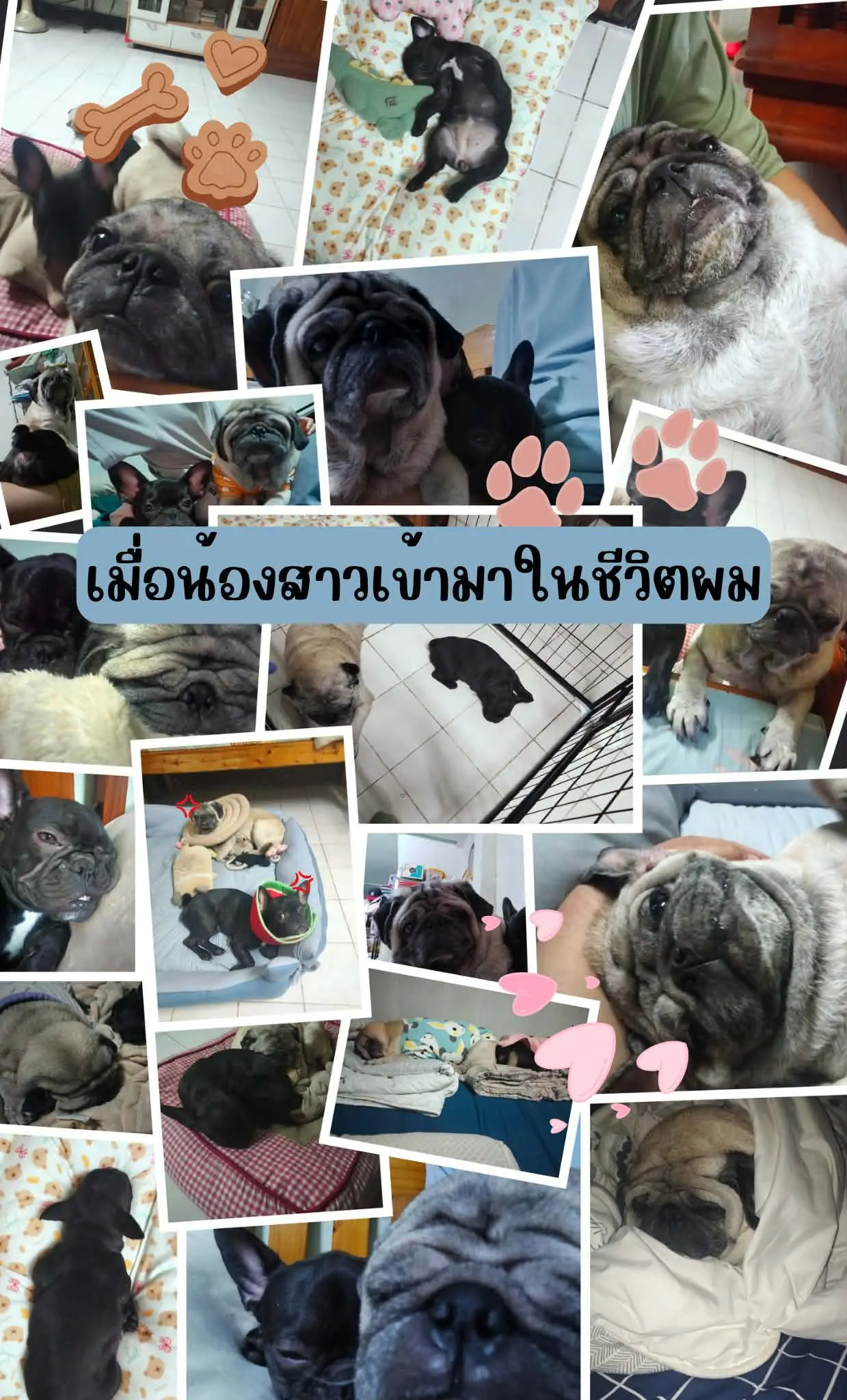 ปกนิยาย เมื่อน้องสาวเข้ามาในชีวิตผม