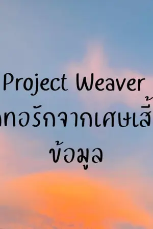 ปกนิยาย Project Weaver ถักทอรักจากเศษเสี้ยวข้อมูล