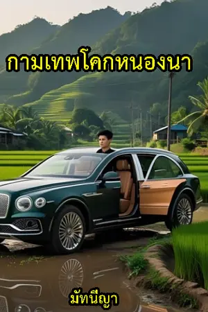 ปกนิยาย กามเทพโคกหนองนา