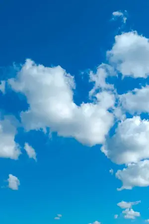 ปกนิยาย เมื่อความรักมาวุ่นวาย