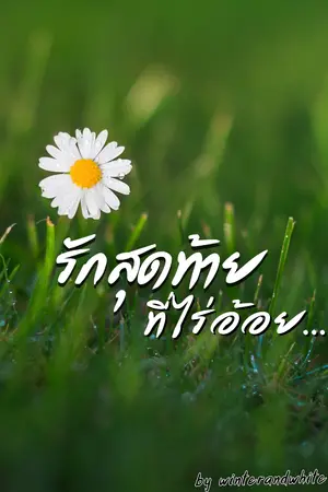 ปกนิยาย my sucrose รักสุดท้าย ที่ไร่อ้อย