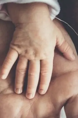 ปกนิยาย ช่างทำช๊อกโกแลต