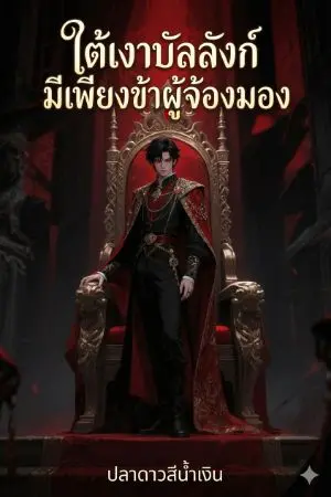 ปกนิยาย ใต้เงาบัลลังก์มีเพียงข้าผู้จ้องมอง