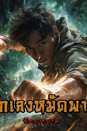 ปกนิยาย นักเลงหมัดพายุ