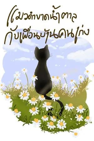 ปกนิยาย แมวดำขาดน้ำตาล กับเพื่อนบ้านคนเก่ง