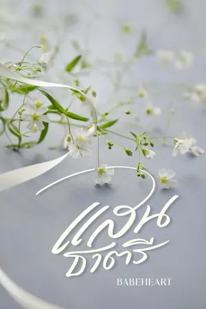 ปกนิยาย แสนธาตรี