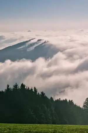 ปกนิยาย บ้านอาหารเจ็ดวัน