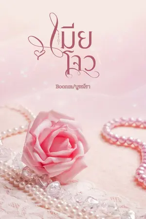 ปกนิยาย เมียโจว มีE book