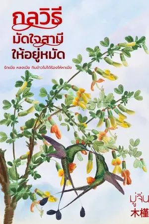 ปกนิยาย กลวิธีมัดใจสามีให้อยู่หมัด
