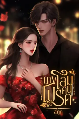 ปกนิยาย นางโลมคนโปรด