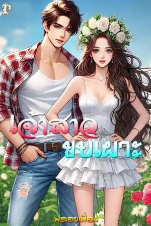 ปกนิยาย