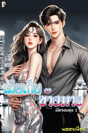 ปกนิยาย เมียเก็บข้างทาง
