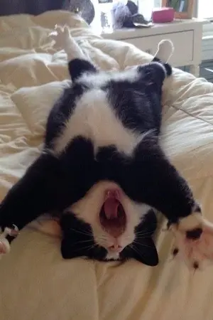 ปกนิยาย ชีวิตใหม่ของผมเอง