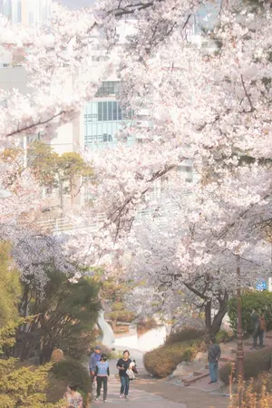 ปกนิยาย Lured; When Feeling Moves Like Smoke (SEON) เกมรักลวงใจนายตัวอันตราย