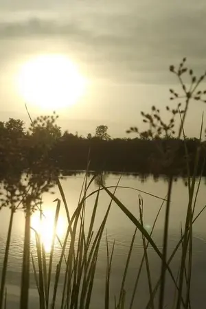 ปกนิยาย (แค่) พบพอใจ