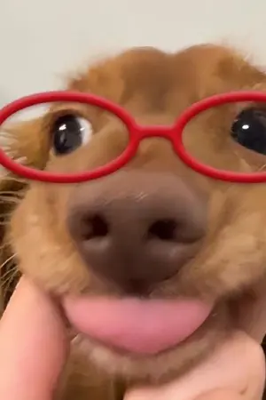 ปกนิยาย พระจันทร์โอบเมฆ Moonlight&clouds