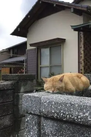 ปกนิยาย [Touken Ranbu] ชีวิตของซานิวะนี่ไม่ใช่สบายๆหรอกนะคะ