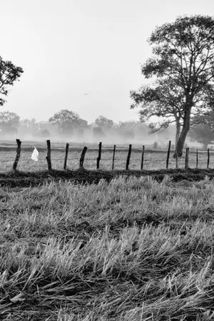 ปกนิยาย แฟนเก่าคนนั้นคือคนโปรด