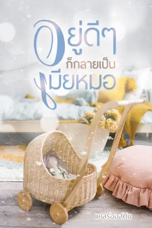 ปกนิยาย อยู่ดีๆ...ก็กลายเป็นเมียหมอ